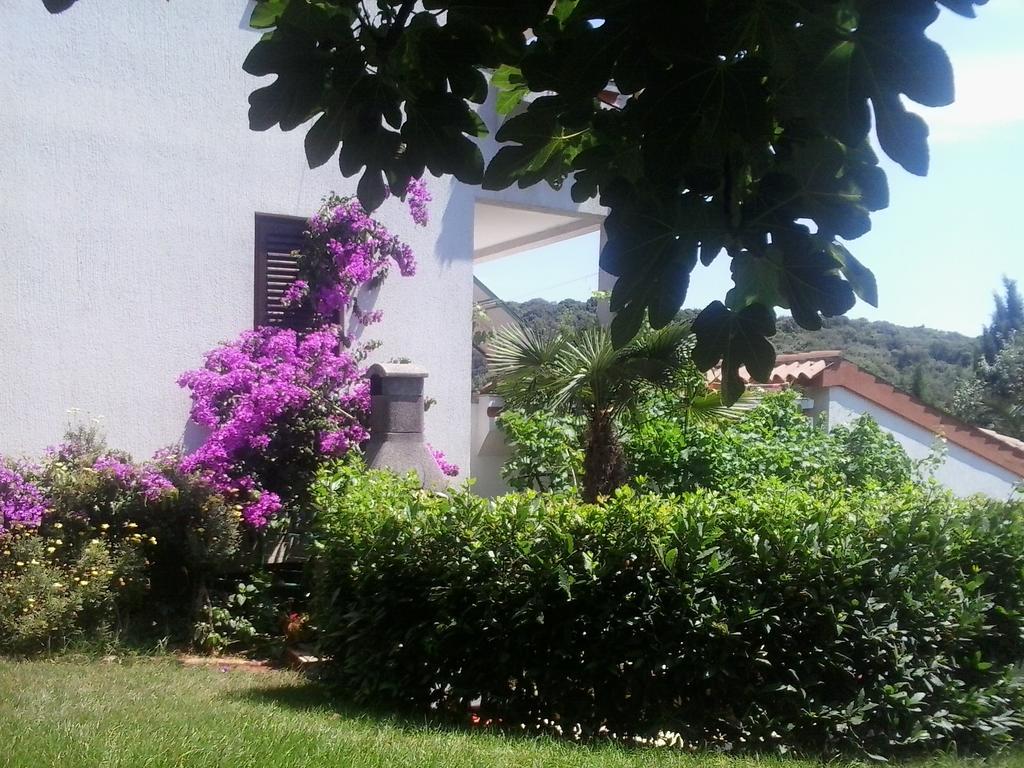 Apartment Iva Pula Exterior foto